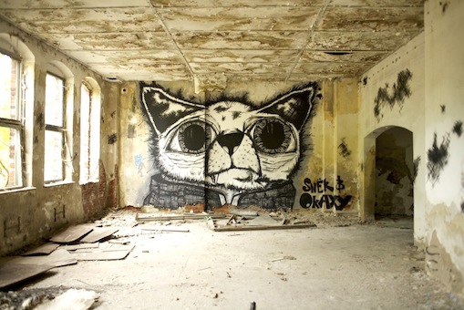 IBUg 2013 (Foto: Patrick Gutscher)